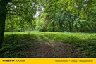 Zabytkowy Park Pałacowy/Dworski z XIX w. - 7.27ha - 5