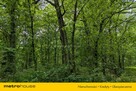 Zabytkowy Park Pałacowy/Dworski z XIX w. - 7.27ha - 7