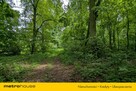 Zabytkowy Park Pałacowy/Dworski z XIX w. - 7.27ha - 11