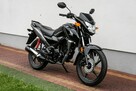 Honda CB 125 F 2023 POLIFT Raty Wysyłka TRANSPORT Największy Wybór Moto 125w PL - 1