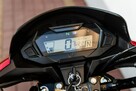 Honda CB 125 F 2022 POLIFT Raty Wysyłka TRANSPORT Największy Wybór Moto 125w PL - 9