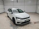 Volkswagen Golf - 1