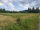 Atrakcyjna działka pod budowę domu - Sanok! - 2