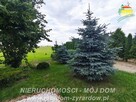 Dom Wiskitki - 13