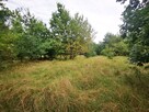 Działka budowlana Henryszew gm. Jaktorów, Modrzewiowa - 4