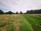 Działka budowlana Henryszew gm. Jaktorów, Modrzewiowa - 7