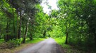 Działka budowlana Grodzisk Mazowiecki - 1