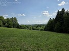 Działka budowlana Błażkowa gm. Brzyska - 14