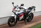 Honda CBR 125 2014 JC50 Raty Transport Największy Wybór Moto 125 MOTOSTAR - 7