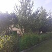 Działka ROD ZORZA w Ziemnicach k/Legnicy (PILNE) - 7