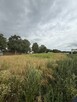 Działka budowlana 2290 m² – Kolonia Sługocin, gm. Lądek - 5