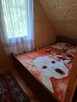 Domek do wynajęcia - 4
