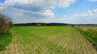 Działka na sprzedaż | pow. 3300 m² | Modrzew, gm. Opoczno - 1