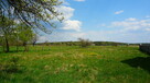 Działka na sprzedaż | pow. 2000 m² | Modrzew, gm. Opoczno - 1