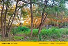 Działka budowlana ,1556m2, oferta PREMIUM - 1