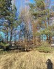 DZIAŁKA BUDOWLANA Z KLIMATEM – 40 KM OD WARSZAWY - 4
