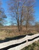 DZIAŁKA BUDOWLANA Z KLIMATEM – 40 KM OD WARSZAWY - 5
