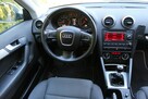 Audi A3 - 7