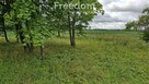 Przestronna działka 3 735 m² na Warmii i Mazurach - 7