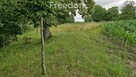 Działka 3 217 m² – cisza i las w zasięgu - 9