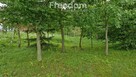 Działka 3 217 m² – cisza i las w zasięgu - 11