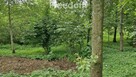 Działka 3 217 m² – cisza i las w zasięgu - 15