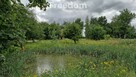 Spokojna działka 3 128 m² wśród lasów - 2