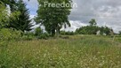 Spokojna działka 3 128 m² wśród lasów - 6