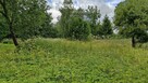 Spokojna działka 3 128 m² wśród lasów - 8