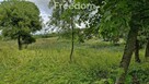 Spokojna działka 3 128 m² wśród lasów - 9