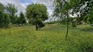 Spokojna działka 3 128 m² wśród lasów - 10