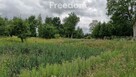 Spokojna działka 3 128 m² wśród lasów - 12