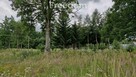 Spokojna działka 3 128 m² wśród lasów - 13