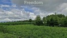 Działka 5 710 m² – przestrzeń i natura - 6