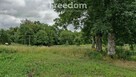 Działka 5 710 m² – przestrzeń i natura - 10