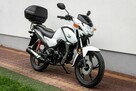 Honda CB 125 F 2023 POLIFT Raty Wysyłka TRANSPORT Największy Wybór Moto 125w PL - 1