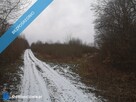 Działka 426/5 w Pręgowie Górnym - 4