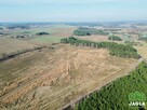 Działka Kruszyn Krajeński gm. Białe Błota - 12