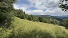 Nieruchomość gruntowa z widokiem na Gorce - 5