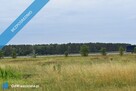 Sprzedam lub wydzierzawie dzialki inwestycyjne 3 km od zjazdu &quot; Wezel Mysliborz &quot; - 8