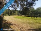 Działka granicząca ze strumieniem i lasem 3900m2 okolice Włocławka - 4