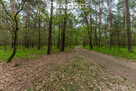 Działka 2100 m² w lesie – Jazgarzew - 2