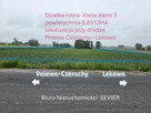 Działka rolna | 8313m2 | III klasa ziemi | - 1