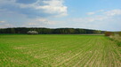 Działka na sprzedaż | pow. 3300 m² | Modrzew, gm. Opoczno - 2