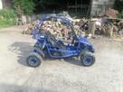 Buggy 150 - 3
