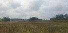 Działka pod dom 3239 m² – prąd w drodze – Kiszkowo - 1