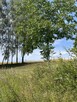 Działka budowlana Biczyce Górne gm. Chełmiec - 7