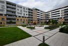 Mieszkanie Wrocław Stare Miasto, Stare Miasto - 1