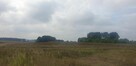Działka pod dom 3239 m² – prąd w drodze – Kiszkowo - 7