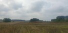 Działka pod dom 3239 m² – prąd w drodze – Kiszkowo - 4